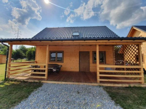 Domki nad jeziorem Pławniowice Niewiesze